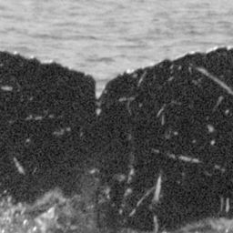 Fluke of SEAK-5341