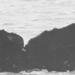 Fluke of CRC-10898