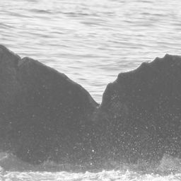 Fluke of CRC-9012