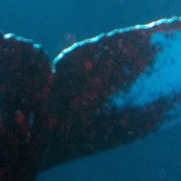 Fluke of La Soufleuse