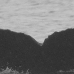Fluke of SEAK-UASE-BGW-20040526-4-001