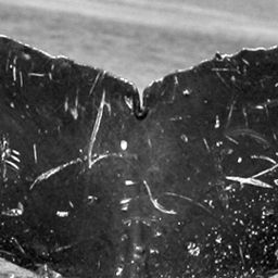 Fluke of TDI-14993