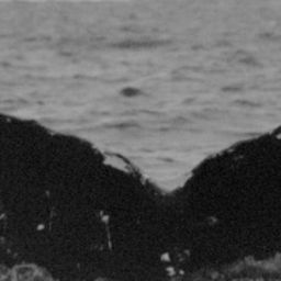 Fluke of SEAK-1624