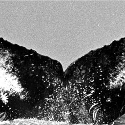 Fluke of TDI-15273