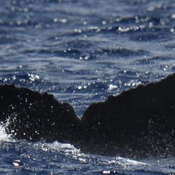 Fluke of HI20-0180