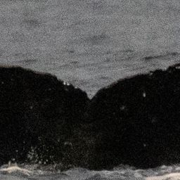 Fluke of HI20-0161