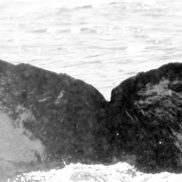 Fluke of TDI-15303