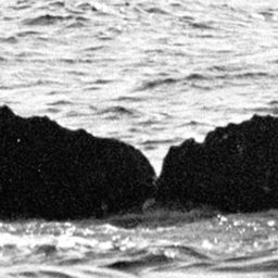 Fluke of TDI-15646