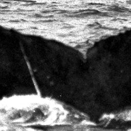 Fluke of TDI-15291