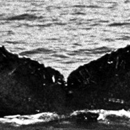 Fluke of BCX0268