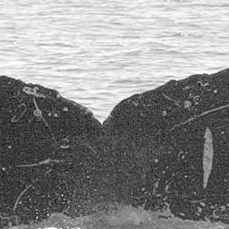 Fluke of TDI-15654