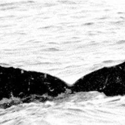 Fluke of TDI-15314