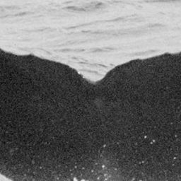 Fluke of SEAK-5231