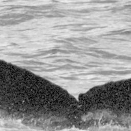 Fluke of SEAK-5254