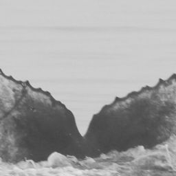 Fluke of CRC-15090