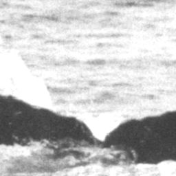 Fluke of Puffer