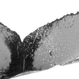 Fluke of CRC-10823