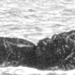 Fluke of CRC-11591
