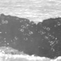 Fluke of HW-MN0442300