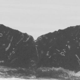 Fluke of CRC-15225