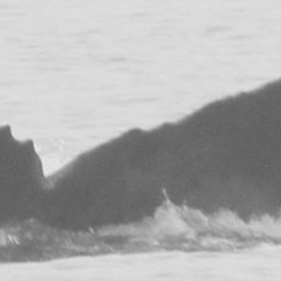 Fluke of CRC-11568