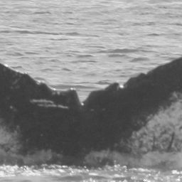 Fluke of CRC-10727