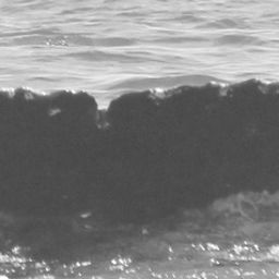 Fluke of CRC-11368