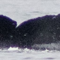 Fluke of Horizon