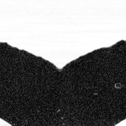 Fluke of SEAK-2631