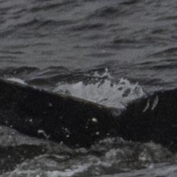 Fluke of CRC-17752