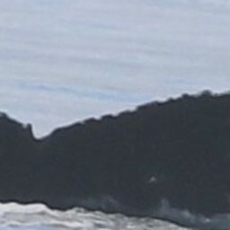 Fluke of CRC-17621