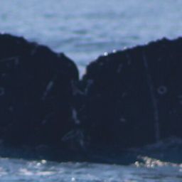 Fluke of CRC-18057