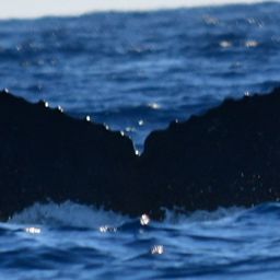 Fluke of CRC-16356