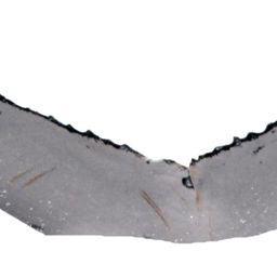 Fluke of ESPHW-BGT#0285