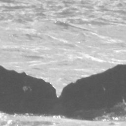 Fluke of CRC-15233