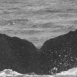 Fluke of SEAK-1341