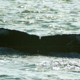 Fluke of SPWRC-TGVA0103