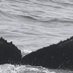 Fluke of CRC-18230