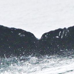 Fluke of CRC-18125