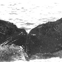 Fluke of TDI-16359