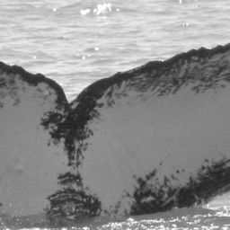 Fluke of CRC-13644