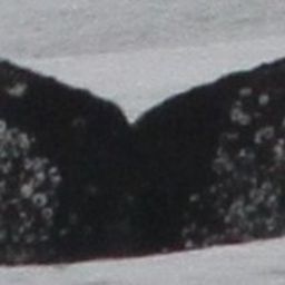 Fluke of CRC-18607