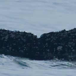 Fluke of CRC-19079