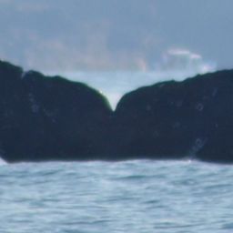 Fluke of CRC-16158