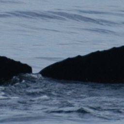 Fluke of CRC-18503