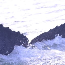 Fluke of CRC-20350