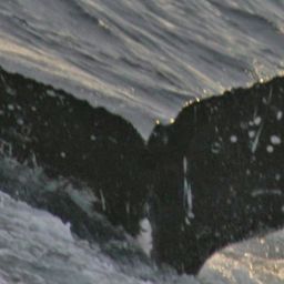 Fluke of HW-MN0521002