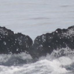 Fluke of HW-MN0521012