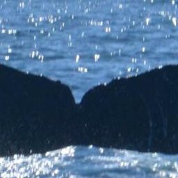 Fluke of HW-MN0521077