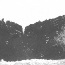 Fluke of CRC-11716